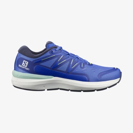 Scarpe Running Salomon SONIC 4 Confidence Uomo Blu IT 9-D45